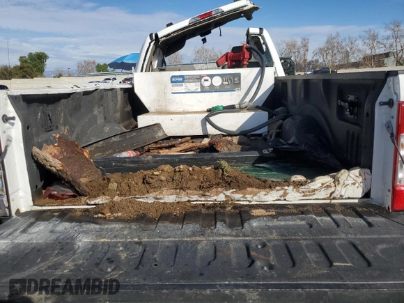 2020 Ford Super Duty F-250 SRW XL with VIN 1FDBF2B68LED97982, listed as a Copart auction lot 41176004 with 32,028 mi miles and Salvage Title. Bid and sale history available at carsss.com. Image 10.