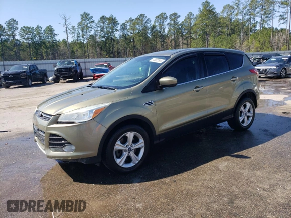 2013 Ford Escape SE with VIN 1FMCU0G97DUA71017, listed as a Copart auction lot 48805535 with 182,909 mi miles and Salvage Title. Bid and sale history available at DreamBid. Image 1.