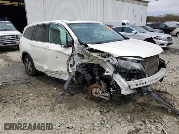 2018 Honda Pilot EX-L with VIN 5FNYF5H59JB031085, listed as a Copart auction lot 53874525 with Not provided miles and Salvage title. Bid and sale history available at DreamBid. Image 4.