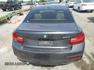 2016 BMW 2 Series 228i with VIN WBA1F9C57GV742243, listed as a Copart auction lot 50096414 with 80,081 mi miles. Bid and sale history available at carsss.com. Image 6.