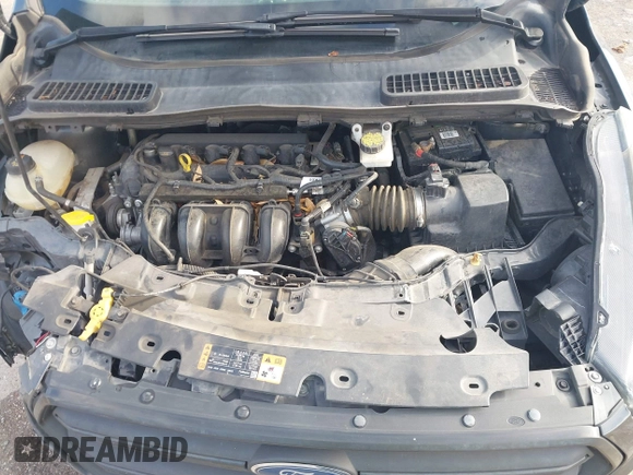 2018 Ford Escape S with VIN 1FMCU0F75JUB72424, listed as a IAAI auction lot 42379904 with 135,190 mi miles and . Bid and sale history available at DreamBid. Image 10.