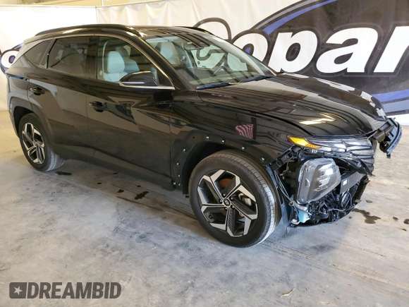 2024 Hyundai Tucson Limited with VIN 5NMJECDEXRH299555, listed as a Copart auction lot 50305005 with 48,861 mi miles and Salvage Title. Bid and sale history available at carsss.com. Image 4.