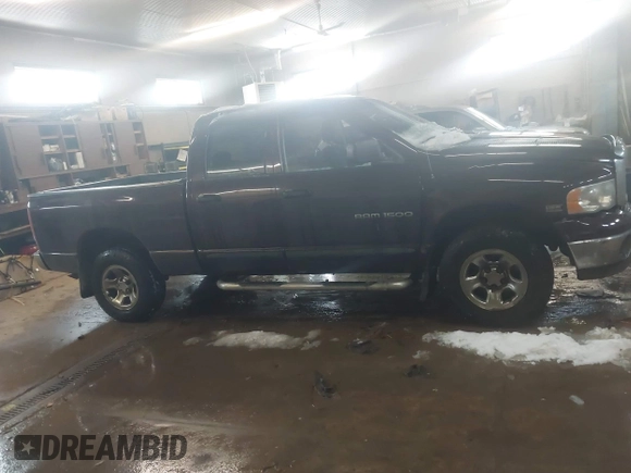 2004 Dodge 1500 SLT with VIN 1D7HU18D34J164093, listed as a IAAI auction lot 41525383 with 196,062 mi miles and . Bid and sale history available at DreamBid. Image 13.