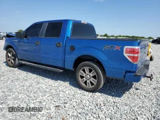 2014 Ford F-150 XL with VIN 1FTEW1CM9EKG29714, listed as a Copart auction lot 53316465 with 216,443 mi miles and Salvage Title. Bid and sale history available at carsss.com. Image 2.