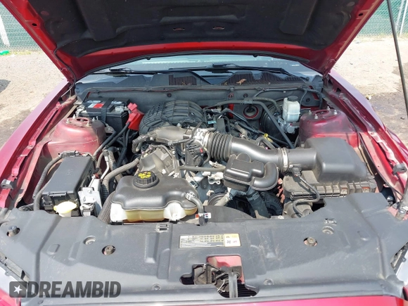 2014 Ford Mustang V6 with VIN 1ZVBP8AM8E5277409, listed as a IAAI auction lot 42415503 with 84,309 mi miles and . Bid and sale history available at DreamBid. Image 10.
