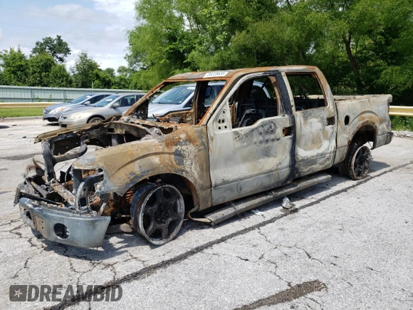 2013 Ford F-150 XL with VIN 1FTFW1ETXDKE82195, listed as a Copart auction lot 59228635 with Not provided miles and Non repairable. Bid and sale history available at DreamBid. Image 1.