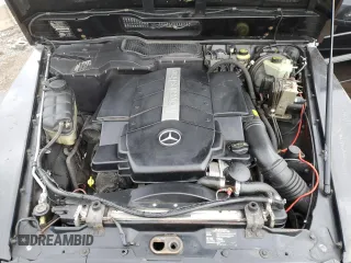 2002 Mercedes-Benz G-Class with VIN WDCYR49E22X128940, listed as a Copart auction lot 46860805 with 255,319 mi miles and Clean Title. Bid and sale history available at carsss.com. Image 12.