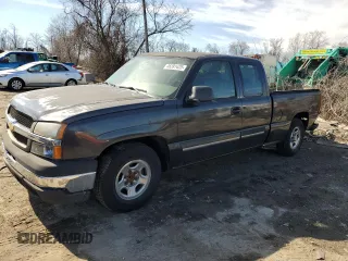 2004 Chevrolet Silverado 1500 LS with VIN 2GCEC19V241168766, listed as a Copart auction lot 46391425 with 195,450 mi miles and Salvage Title. Bid and sale history available at carsss.com. Image 1.