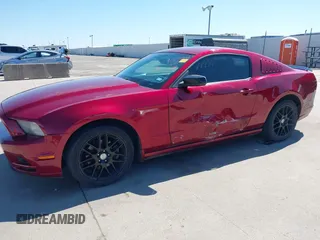 2014 Ford Mustang V6 with VIN 1ZVBP8AM3E5331909, listed as a IAAI auction lot 41843849 with 141,514 mi miles. Bid and sale history available at carsss.com. Image 6.