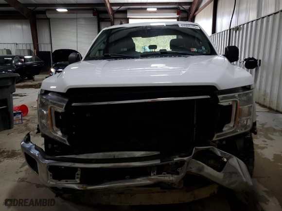 2019 Ford F-150 XL with VIN 1FTEX1EP7KFC88578, listed as a Copart auction lot 49988145 with 0 mi miles and Salvage Title. Bid and sale history available at carsss.com. Image 5.