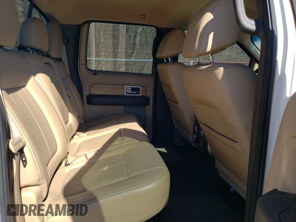2011 Ford F-150 XLT with VIN 1FTFW1ET1BFC64913, listed as a Copart auction lot 49413115 with 204,750 mi miles and Clean Title. Bid and sale history available at carsss.com. Image 10.