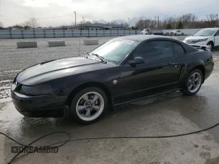 2004 Ford Mustang Standard with VIN 1FAFP40654F149790, listed as a Copart auction lot 50419585 with 62,326 mi miles and Non Repairable. Bid and sale history available at carsss.com. Image 1.