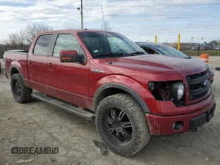 2014 Ford F-150 XL with VIN 1FTFW1EF9EKF99259, listed as a Copart auction lot 49588665 with Not provided miles and Salvage title. Bid and sale history available at DreamBid. Image 4.