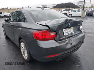 2016 BMW 2 Series 228i with VIN WBA1F9C54GV544851, listed as a IAAI auction lot 42185358 with 100,951 mi miles and . Bid and sale history available at DreamBid. Image 3.