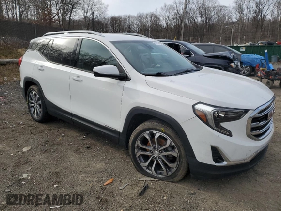2020 GMC Terrain SLT with VIN 3GKALPEV6LL250007, listed as a Copart auction lot 45718435 with 101,516 mi miles and Salvage title. Bid and sale history available at DreamBid. Image 4.