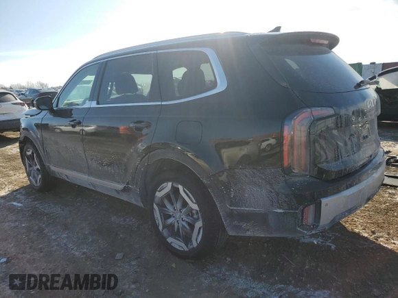 2024 Kia Telluride EX with VIN 5XYP3DGC2RG547470, listed as a Copart auction lot 42578195 with 7,193 mi miles and Salvage Title. Bid and sale history available at carsss.com. Image 2.