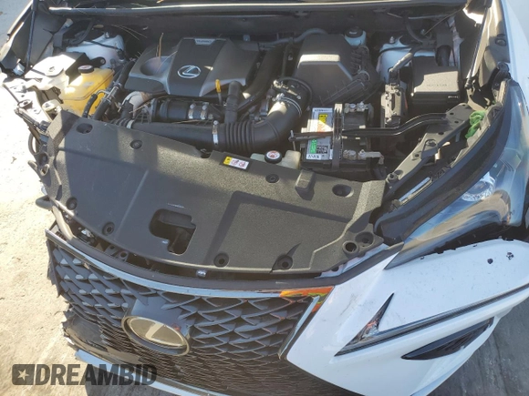 2019 Lexus NX with VIN JTJYARBZ7K2135948, listed as a Copart auction lot 45428675 with 61,523 mi miles and Non Repairable. Bid and sale history available at carsss.com. Image 12.