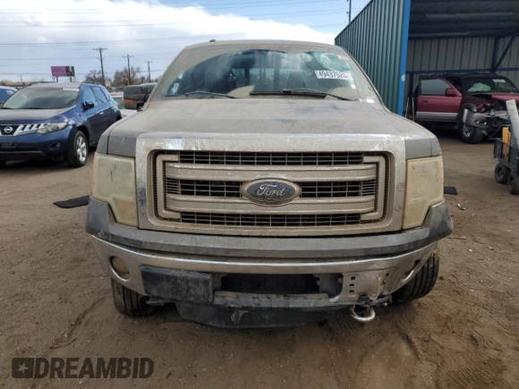 2013 Ford F-150 XL with VIN 1FTFW1EF3DFA22301, listed as a Copart auction lot 49437525 with Not Provided miles and Salvage Title. Bid and sale history available at DreamBid. Image 5.