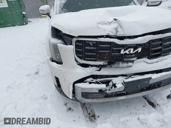 2023 Kia Telluride S with VIN 5XYP6DGC7PG363114, listed as a IAAI auction lot 41260043 with 49,499 mi miles and . Bid and sale history available at DreamBid. Image 6.