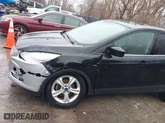 2014 Ford Escape SE with VIN 1FMCU0GX4EUE39511, listed as a IAAI auction lot 41477507 with 151,532 mi miles and . Bid and sale history available at DreamBid. Image 6.