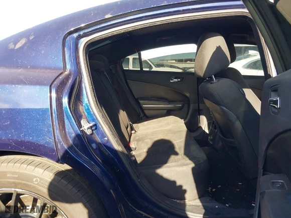 2013 Dodge Charger SE with VIN 2C3CDXBG5DH560266, listed as a IAAI auction lot 41729973 with NaN miles. Bid and sale history available at carsss.com. Image 8.
