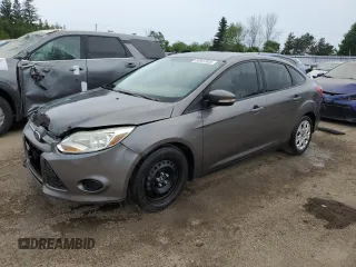 2013 Ford Focus SE z VIN 1FADP3F24DL100281, wystawiony jako Copart lot #60507605 z przebiegiem 223 439 mil mil oraz Szkoda całkowita • Salvage title. Historia ofert i sprzedaży dostępna na DreamBid. Obrazek 1.