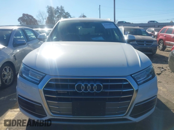 2019 Audi Q5 Premium with VIN WA1ANAFY8K2126536, listed as a IAAI auction lot 41018854 with 132,800 mi miles. Bid and sale history available at carsss.com. Image 12.