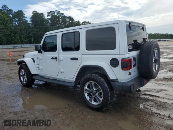 2019 Jeep Wrangler Unlimited Sahara with VIN 1C4HJXEG9KW547685, listed as a Copart auction lot 60901085 with 81,169 mi miles and Salvage title. Bid and sale history available at DreamBid. Image 2.