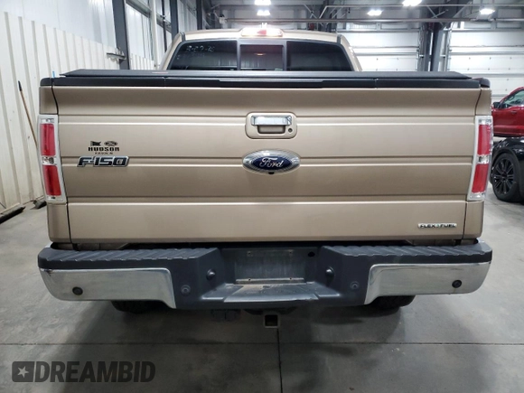 2013 Ford F-150 XL with VIN 1FTFW1EF1DKE66199, listed as a Copart auction lot 51216725 with 134,457 mi miles and Salvage Title. Bid and sale history available at carsss.com. Image 6.