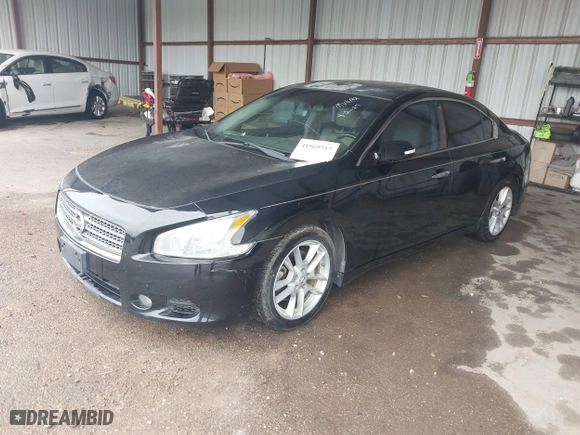 2011 Nissan Maxima 3.5 SV with VIN 1N4AA5AP0BC800525, listed as a IAAI auction lot 41969757 with 212,919 mi miles. Bid and sale history available at carsss.com. Image 2.