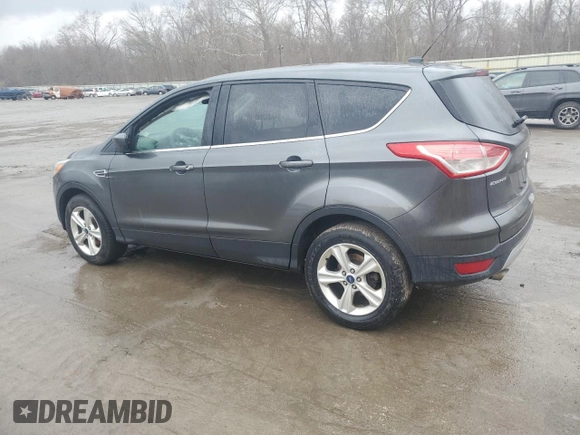 2016 Ford Escape SE with VIN 1FMCU0GX6GUB75551, listed as a Copart auction lot 49507385 with 123,051 mi miles and Salvage Title. Bid and sale history available at carsss.com. Image 2.