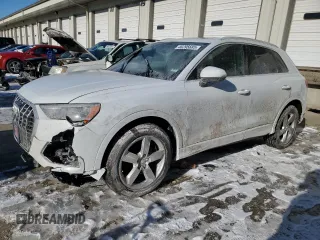 2020 Audi Q3 Premium with VIN WA1AECF38L1024869, listed as a Copart auction lot 46295685 with 124,720 mi miles and Salvage Title. Bid and sale history available at carsss.com. Image 1.