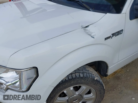 2009 Ford F-150 STX with VIN 1FTRX12819FA82911, listed as a IAAI auction lot 42424005 with 251,720 mi miles and . Bid and sale history available at DreamBid. Image 12.