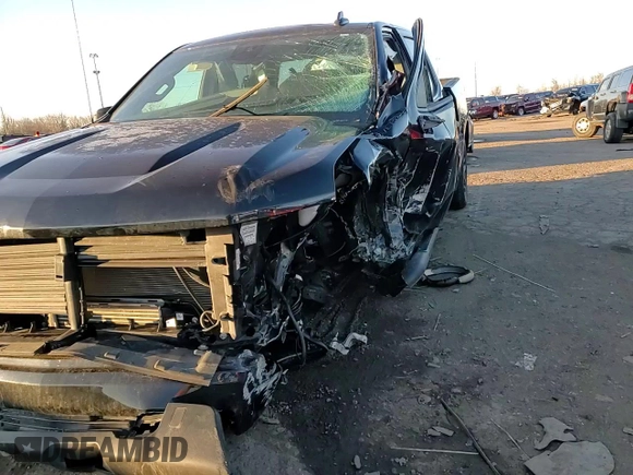 2024 Chevrolet Silverado 1500 Custom with VIN 1GCPDBEK0RZ131799, listed as a Copart auction lot 43352805 with Not Provided miles and Salvage Title. Bid and sale history available at DreamBid. Image 11.