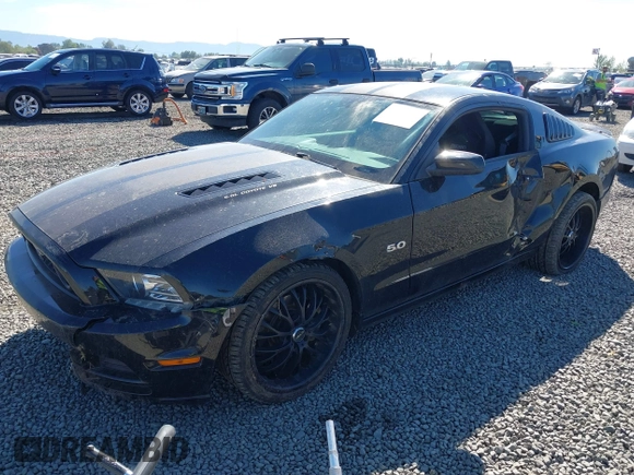 2014 Ford Mustang GT with VIN 1ZVBP8CF5E5201080, listed as a IAAI auction lot 42191392 with 42,701 mi miles and . Bid and sale history available at DreamBid. Image 17.