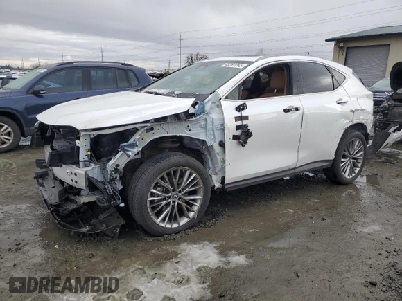 2023 Lexus NX 350h Luxury with VIN JTJHKCEZ4P5008778, listed as a Copart auction lot 45281265 with 21,724 mi miles and Salvage Title. Bid and sale history available at DreamBid. Image 1.