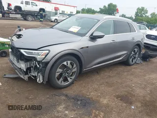 2022 Audi e-tron Premium with VIN WA1AAAGE1NB003892, listed as a IAAI auction lot 42391555 with 48,771 mi miles and . Bid and sale history available at DreamBid. Image 20.