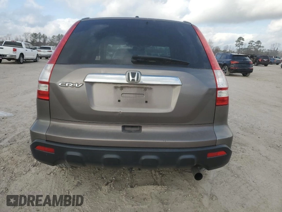 2009 Honda CR-V EX with VIN 5J6RE48569L012210, listed as a Copart auction lot 44031145 with 289,356 mi miles and Salvage Title. Bid and sale history available at carsss.com. Image 6.