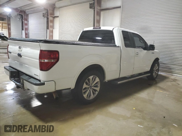 2010 Ford F-150 XL with VIN 1FTFX1CV7AKB71384, listed as a Copart auction lot 82047394 with 149,606 mi miles and Salvage Title. Bid and sale history available at carsss.com. Image 3.