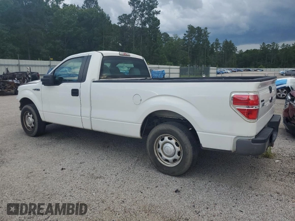 2013 Ford F-150 XL with VIN 1FTMF1CM9DKD99618, listed as a Copart auction lot 56336075 with 178,188 mi miles and Salvage title. Bid and sale history available at DreamBid. Image 2.