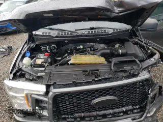 2019 Ford F-150 XL with VIN 1FTEW1CP2KKD94918, listed as a Copart auction lot 80581174 with Not provided miles and Salvage title. Bid and sale history available at DreamBid. Image 12.