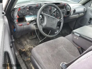 1999 Dodge Ram 1500 with VIN 1B7HC16X5XS310146, listed as a Copart auction lot 49840985 with 120,576 mi miles and Salvage Title. Bid and sale history available at carsss.com. Image 8.