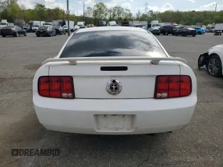 2006 Ford Mustang Standard with VIN 1ZVHT80N965264587, listed as a Copart auction lot 55333555 with 240,343 mi miles and Clean Title. Bid and sale history available at carsss.com. Image 6.