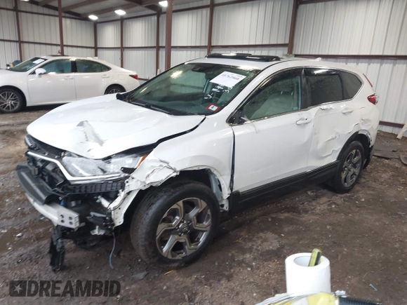 2019 Honda CR-V EX with VIN 2HKRW2H56KH641449, listed as a IAAI auction lot 41762860 with 181,557 mi miles and . Bid and sale history available at DreamBid. Image 18.