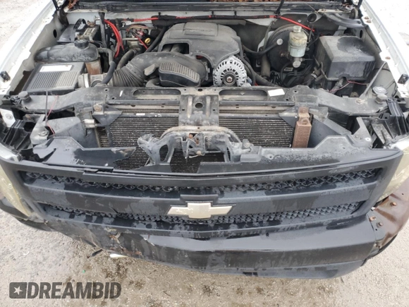 2007 Chevrolet Silverado 1500 Work Truck with VIN 2GCEC13J871554666, listed as a Copart auction lot 48214405 with 286,120 mi miles and Clean Title. Bid and sale history available at DreamBid. Image 13.