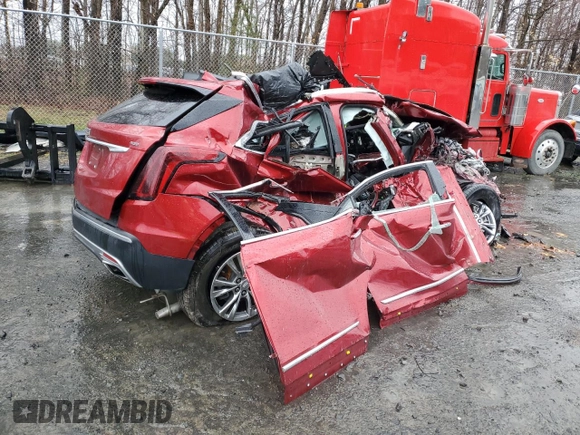 2023 Cadillac XT5 AWD Premium Luxury with VIN 1GYKNDRS1PZ132934, listed as a Copart auction lot 49285144 with Not Provided miles and Non Repairable. Bid and sale history available at DreamBid. Image 3.