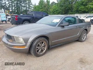 2005 Ford Mustang Deluxe with VIN 1ZVFT80N255121745, listed as a IAAI auction lot 42540069 with Not provided miles and . Bid and sale history available at DreamBid. Image 2.
