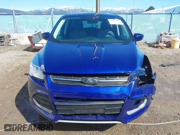 2014 Ford Escape SE with VIN 1FMCU9G99EUD02098, listed as a IAAI auction lot 41814969 with 210,218 mi miles and . Bid and sale history available at DreamBid. Image 13.