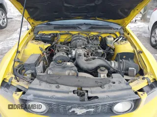 2005 Ford Mustang Deluxe with VIN 1ZVFT80N255238404, listed as a IAAI auction lot 41371727 with 150,443 mi miles. Bid and sale history available at carsss.com. Image 10.