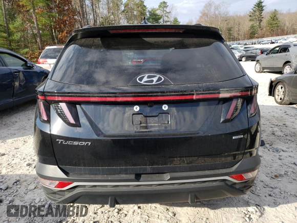 2023 Hyundai Tucson SEL with VIN 5NMJFCAE2PH186035, listed as a Copart auction lot 79243844 with 20,441 mi miles and Salvage Title. Bid and sale history available at carsss.com. Image 6.